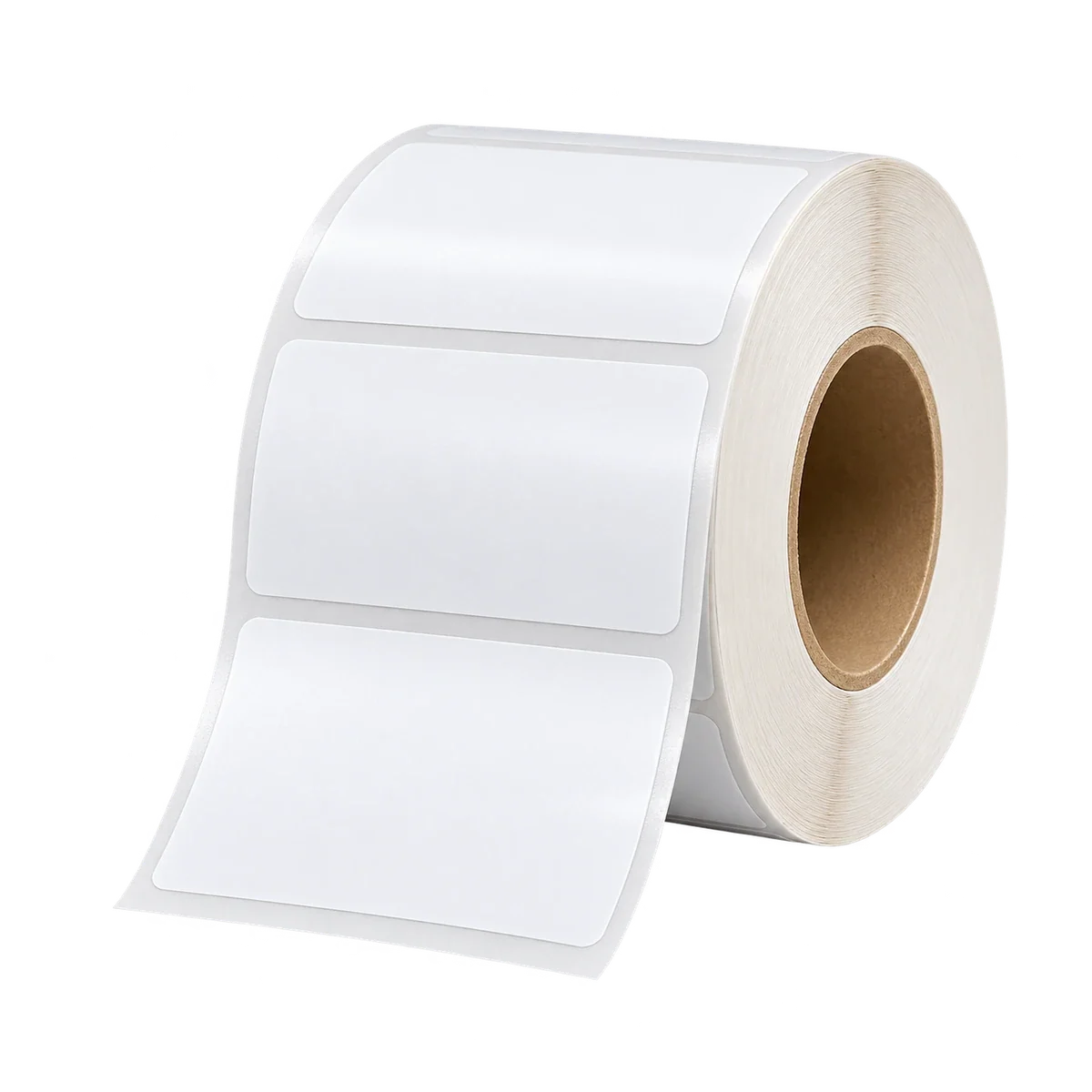 Barcode Label Buying Guide in India: Materials, Sizes and Printer Fit