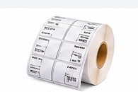 Representative product photograph for Direct Thermal Label Rolls — 25 × 25 mm (3-Up)